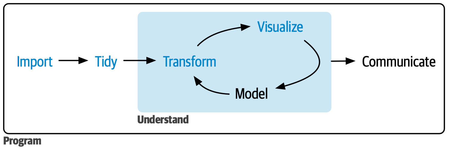 A diagram displaying the data science cycle: Import -> Tidy -> Understand (which has the phases Transform -> Visualize -> Model in a cycle) -> Communicate. Surrounding all of these is Program Import, Tidy, Transform, and Visualize is highlighted.