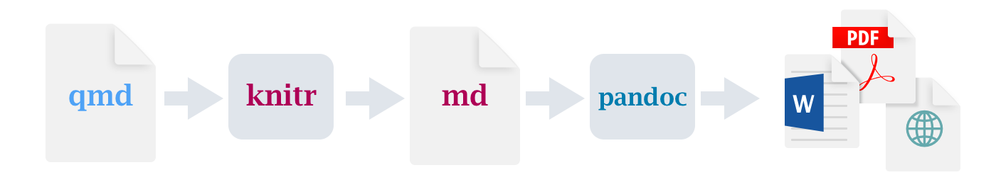 从 qmd、到 knitr、到 md、到 pandoc、到以 PDF、MS Word、HTML 格式输出的 Quarto 工作流程图。